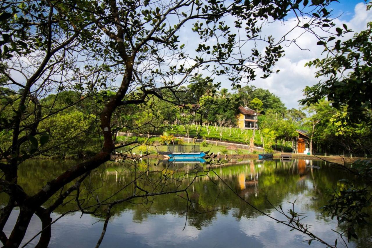 Lake Serenity Resort & Spa Kuruwita Eksteriør billede